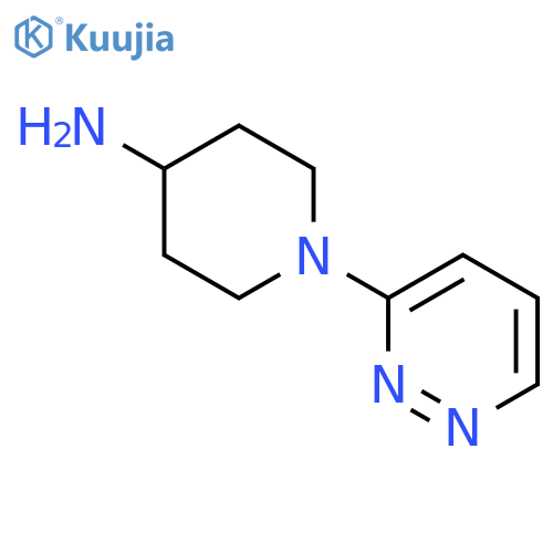 1-(pyridazin-3-yl)piperidin-4-amine structure