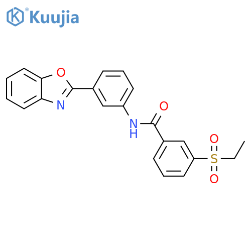 N-3-(1,3-benzoxazol-2-yl)phenyl-3-(ethanesulfonyl)benzamide structure