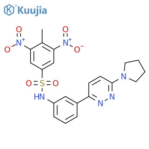 4-methyl-3,5-dinitro-N-{3-6-(pyrrolidin-1-yl)pyridazin-3-ylphenyl}benzene-1-sulfonamide structure