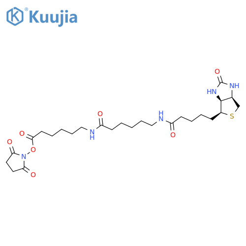 Biotin-LC-LC-NHS structure