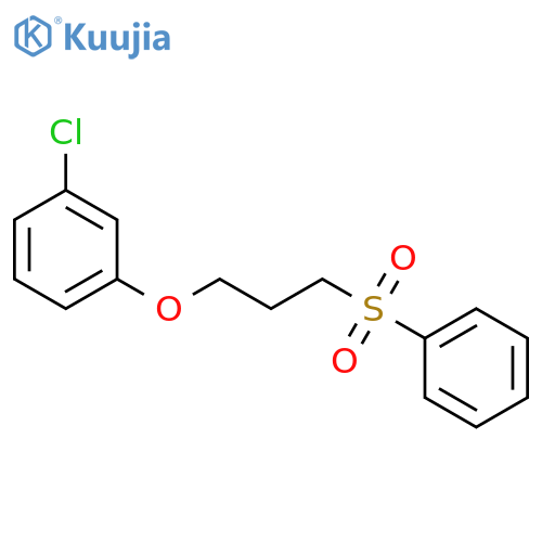 Benzene, 1-chloro-3-[3-(phenylsulfonyl)propoxy]- structure
