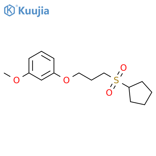 Benzene, 1-[3-(cyclopentylsulfonyl)propoxy]-3-methoxy- structure