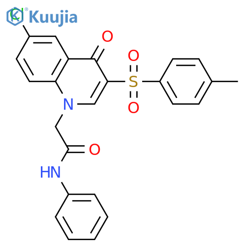 2-6-chloro-3-(4-methylbenzenesulfonyl)-4-oxo-1,4-dihydroquinolin-1-yl-N-phenylacetamide structure