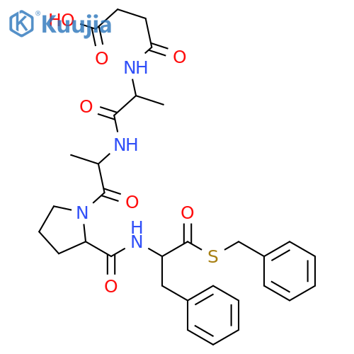 Carboxypeptidase B structure
