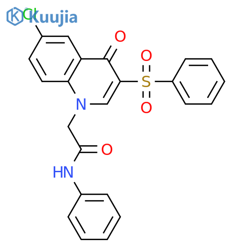 2-3-(benzenesulfonyl)-6-chloro-4-oxo-1,4-dihydroquinolin-1-yl-N-phenylacetamide structure