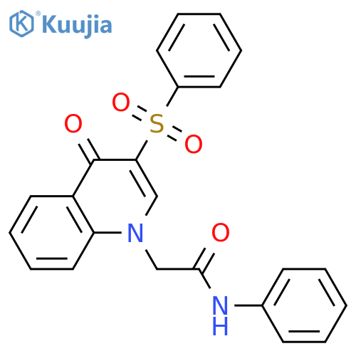 2-3-(benzenesulfonyl)-4-oxo-1,4-dihydroquinolin-1-yl-N-phenylacetamide structure