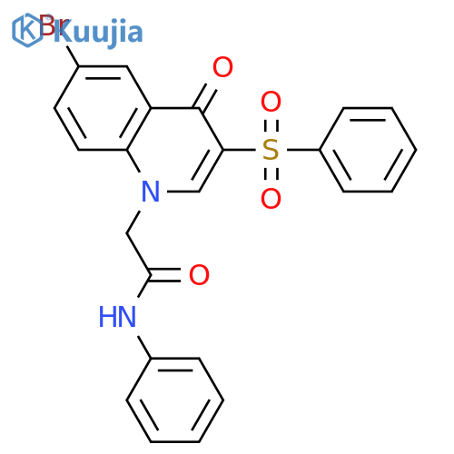 2-3-(benzenesulfonyl)-6-bromo-4-oxo-1,4-dihydroquinolin-1-yl-N-phenylacetamide structure