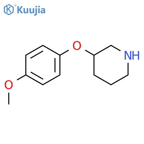 3-(4-METHOXYPHENOXY)PIPERIDINE structure