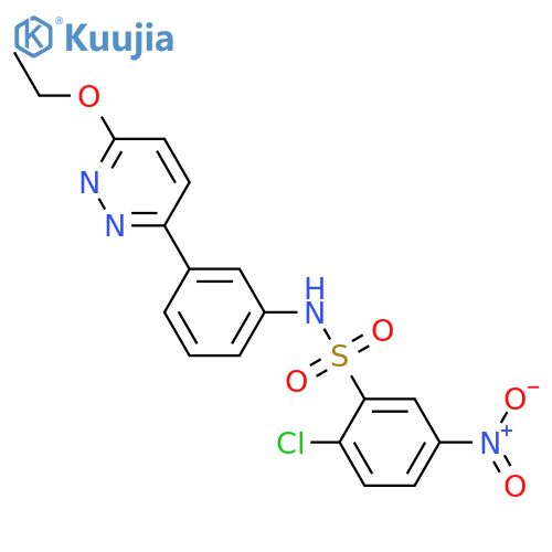 2-chloro-N-3-(6-ethoxypyridazin-3-yl)phenyl-5-nitrobenzene-1-sulfonamide structure