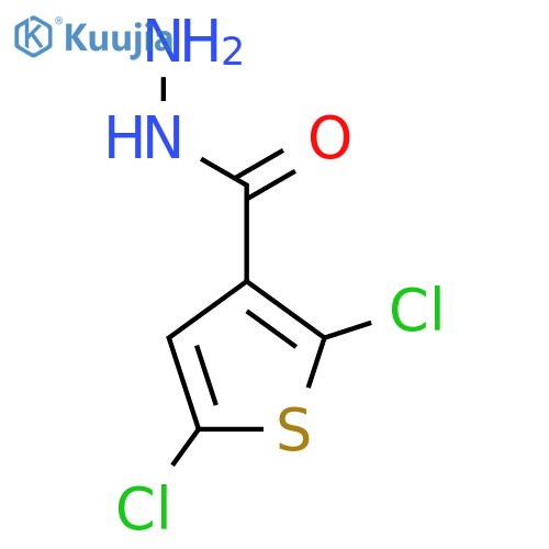 2,5-Dichlorothiophene-3-carbohydrazide structure