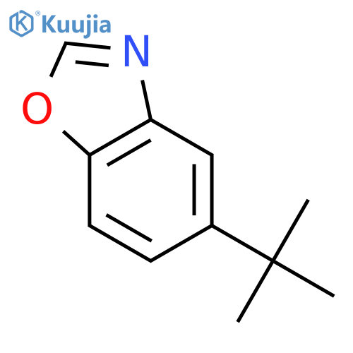 5-(tert-Butyl)benzoxazole structure
