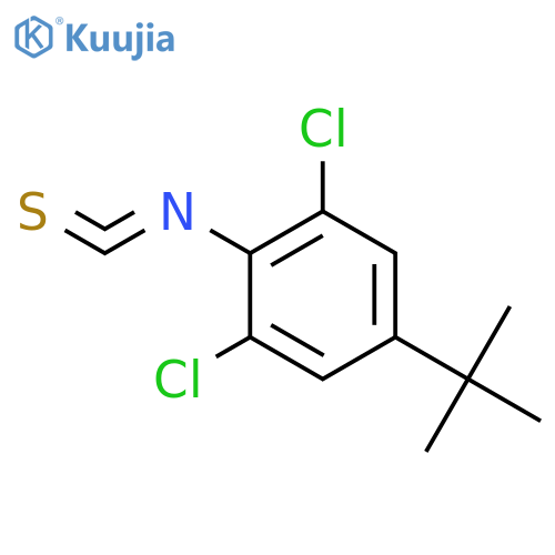 BENZENE, 1,3-DICHLORO-5-(1,1-DIMETHYLETHYL)-2-ISOTHIOCYANATO- structure