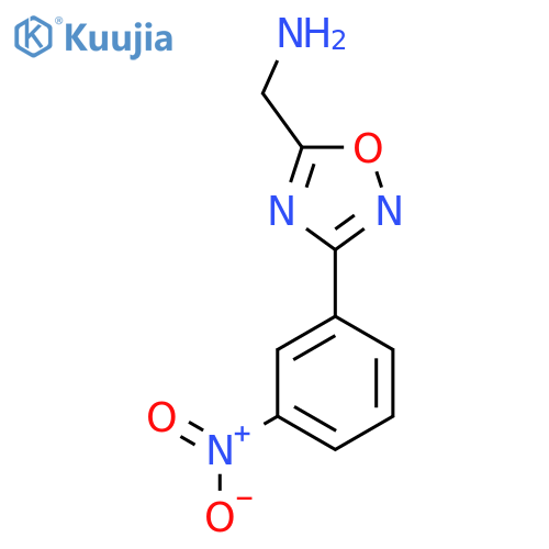 [3-(3-Nitrophenyl)-1,2,4-oxadiazol-5-YL]methanamine structure