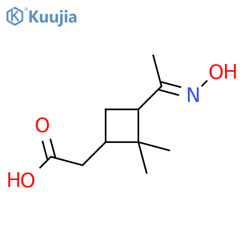 Pinonic Acid Oxime structure