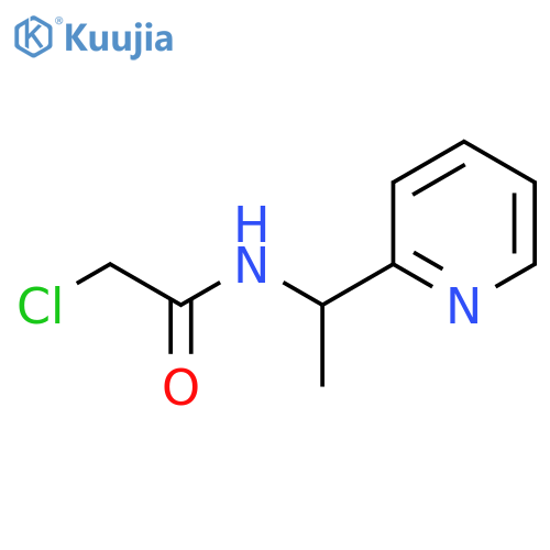 2-Chloro-N-(1-pyridin-2-yl-ethyl)-acetamide structure