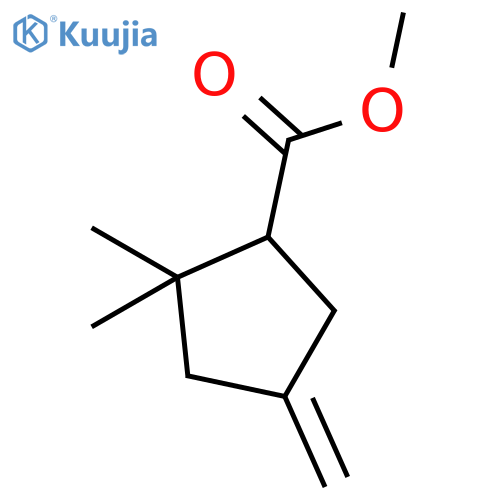CYCLOPENTANECARBOXYLIC ACID, 2,2-DIMETHYL-4-METHYLENE-, METHYL ESTER structure