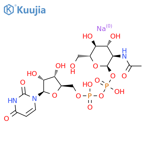 UDP-GlcNAc disodium structure