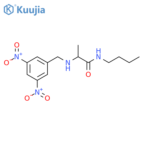 Propanamide, N-butyl-2-[[(3,5-dinitrophenyl)methyl]amino]- structure