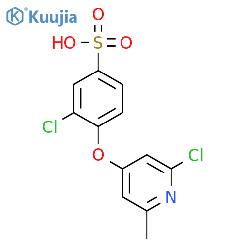 Benzenesulfonic acid, 3-chloro-4-[(2-chloro-6-methyl-4-pyridinyl)oxy]- structure
