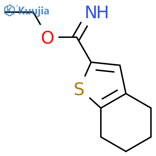 Benzo[b]thiophene-2-carboximidic acid, 4,5,6,7-tetrahydro-, ethyl ester structure