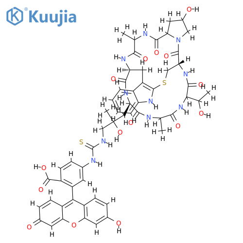 Fluorescein, Phalloidin structure