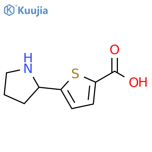 5-(pyrrolidin-2-yl)thiophene-2-carboxylic acid structure