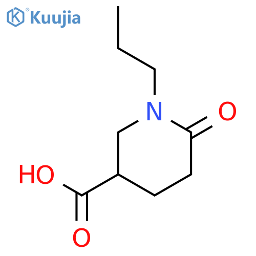 6-Oxo-1-propylpiperidine-3-carboxylic acid structure
