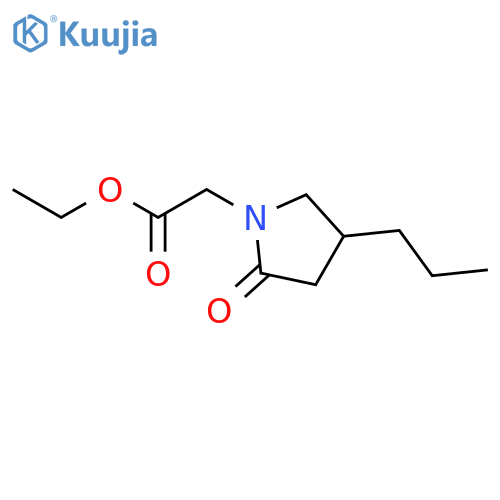 Ethyl 2-Oxo-4-propyl-1-pyrrolidineacetate structure