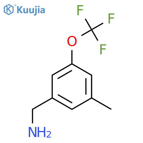 3-METHYL-5-(TRIFLUOROMETHOXY)BENZYLAMINE structure