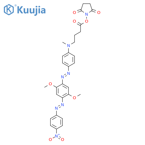 Bhq-2-succinimide ester structure