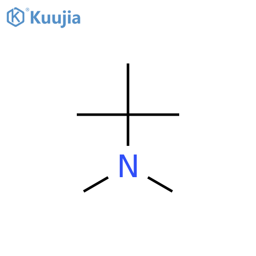N,N-Dimethyl-tert-butylamine structure