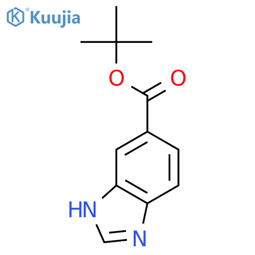 tert-butyl 1H-1,3-benzodiazole-5-carboxylate structure