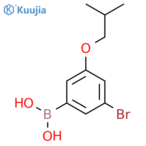 3-Bromo-5-isobutoxyphenylboronic acid structure