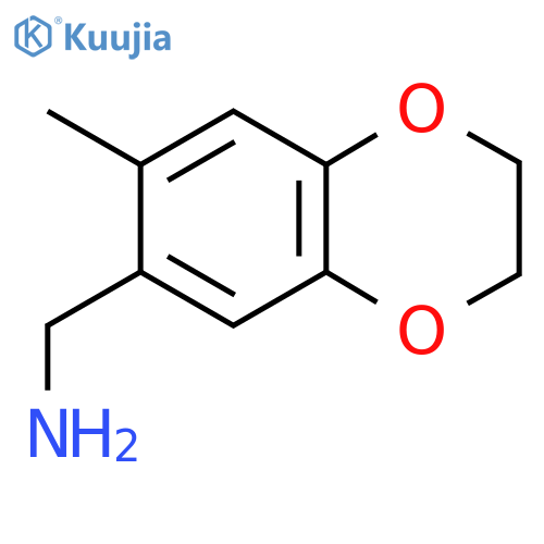 1-(7-methyl-2,3-dihydro-1,4-benzodioxin-6-yl)methanamine structure