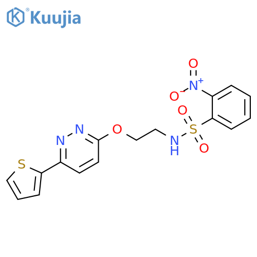 2-nitro-N-(2-{6-(thiophen-2-yl)pyridazin-3-yloxy}ethyl)benzene-1-sulfonamide structure
