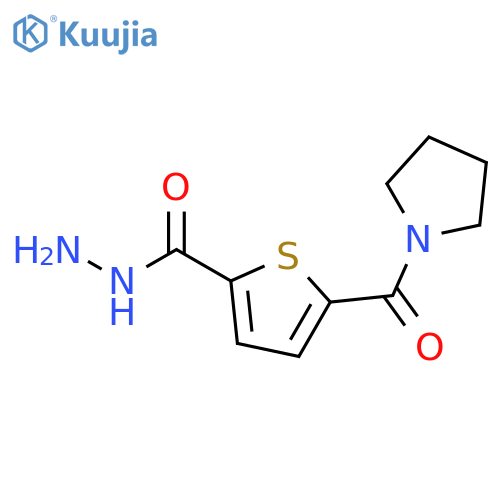 2-Thiophenecarboxylic acid, 5-(1-pyrrolidinylcarbonyl)-, hydrazide structure