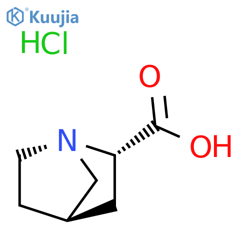 exo-1-azabicyclo[2.2.1]heptane-2-carboxylic acid;hydrochloride structure