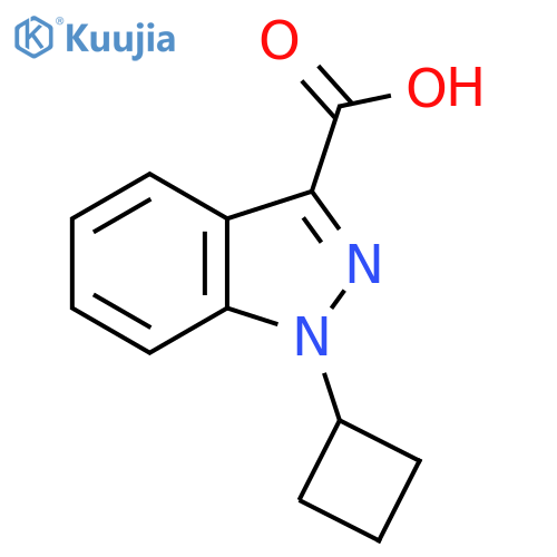 1-Cyclobutyl-1H-indazole-3-carboxylic acid structure
