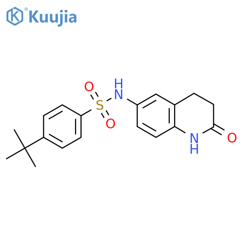 4-tert-butyl-N-(2-oxo-1,2,3,4-tetrahydroquinolin-6-yl)benzene-1-sulfonamide structure