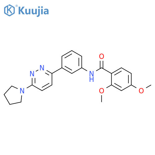 2,4-dimethoxy-N-{3-6-(pyrrolidin-1-yl)pyridazin-3-ylphenyl}benzamide structure