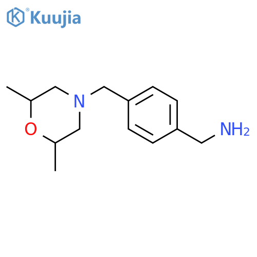 1-{4-[(2,6-dimethylmorpholin-4-yl)methyl]phenyl}methanamine structure