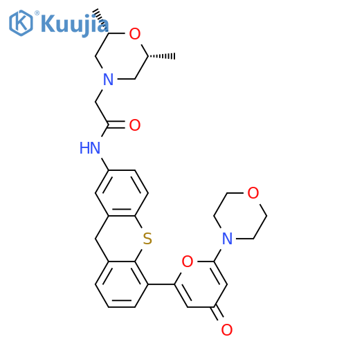 KU-60019 structure