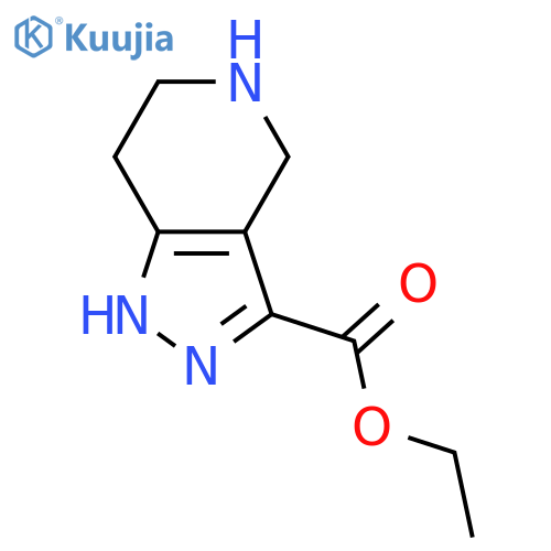 Ethyl 4,5,6,7-tetrahydro-1H-pyrazolo[4,3-c]pyridine-3-carboxylate structure