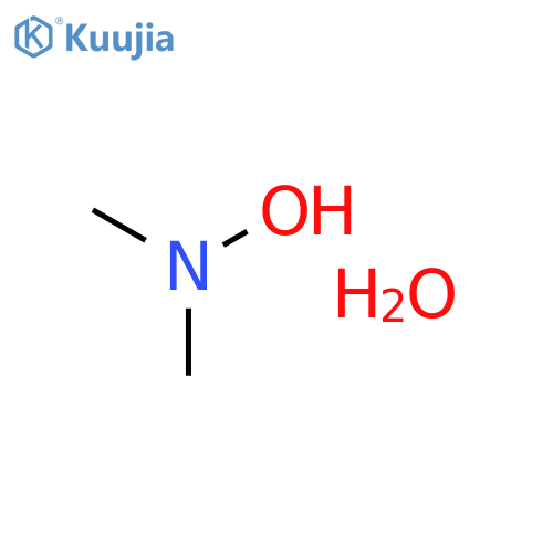 N-Hydroxy-N-methylmethanamine--water (1/1) structure