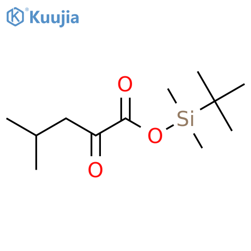 tert-Butyl(dimethyl)silyl 4-methyl-2-oxopentanoate structure