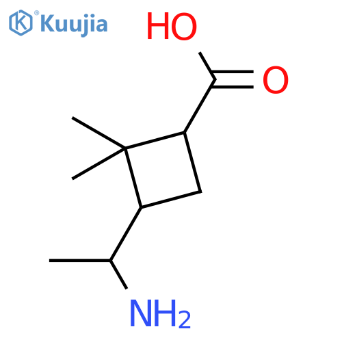 Cyclobutanecarboxylic acid, 3-(1-aminoethyl)-2,2-dimethyl- structure