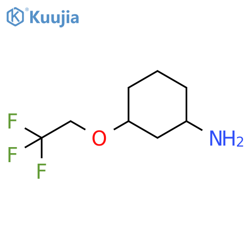 3-(2,2,2-trifluoroethoxy)cyclohexan-1-amine structure