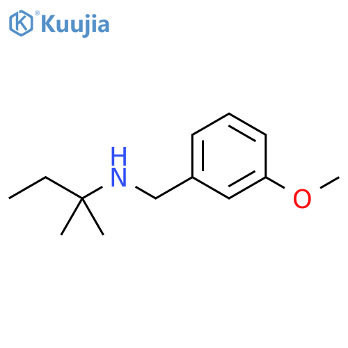 (3-methoxyphenyl)methyl(2-methylbutan-2-yl)amine structure