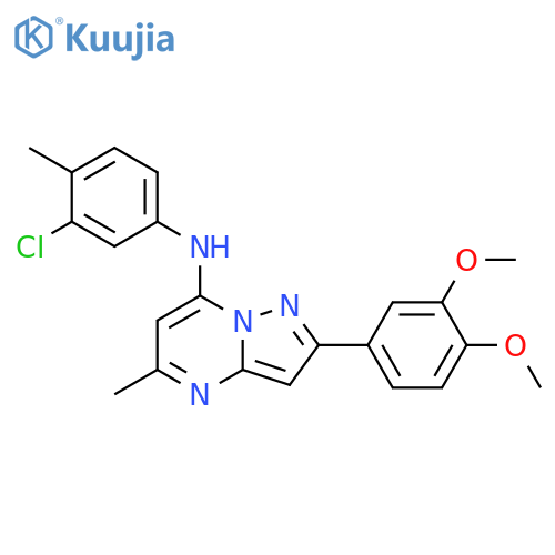 N-(3-chloro-4-methylphenyl)-2-(3,4-dimethoxyphenyl)-5-methylpyrazolo1,5-apyrimidin-7-amine structure