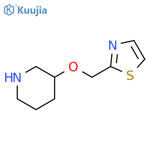 3-(1,3-thiazol-2-yl)methoxypiperidine structure